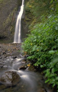waterfall (19K)