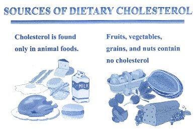 sources of dietary cholesterol