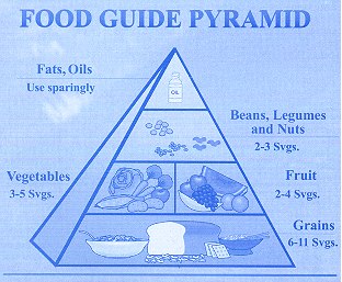 food guide pyramid