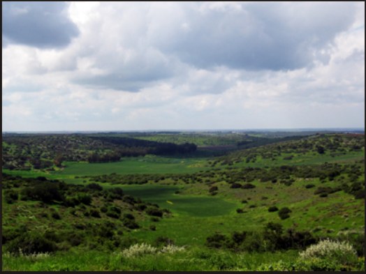 12_beit_guvrin (40K)